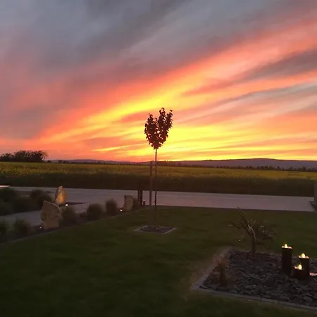 1 Im Kirschbluetenhof Ingelheim am Rhein