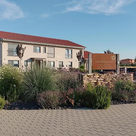 1 Im Kirschbluetenhof アパート インゲルハイム・アム・ライン