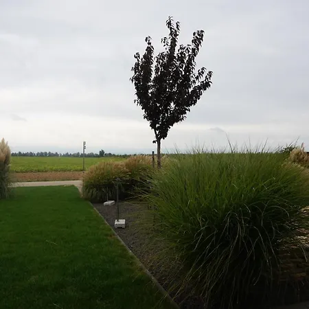 Lejlighed 1 Im Kirschbluetenhof