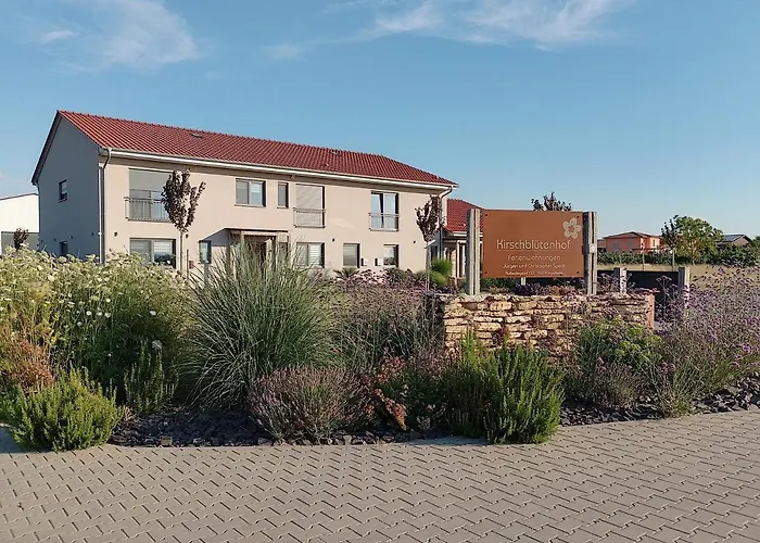 1 Im Kirschbluetenhof דירה אינגלהיים אם ריין